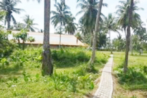 Tanah Dijual di Anyer Carita Pandeglang Banten Dekat Pantai Carita, Pantai Pasir Putih, Pantai Karangsari 0012
