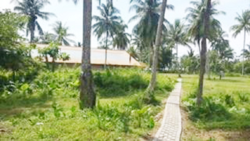 Tanah Dijual di Anyer Carita Pandeglang Banten Dekat Pantai Carita, Pantai Pasir Putih, Pantai Karangsari 0012