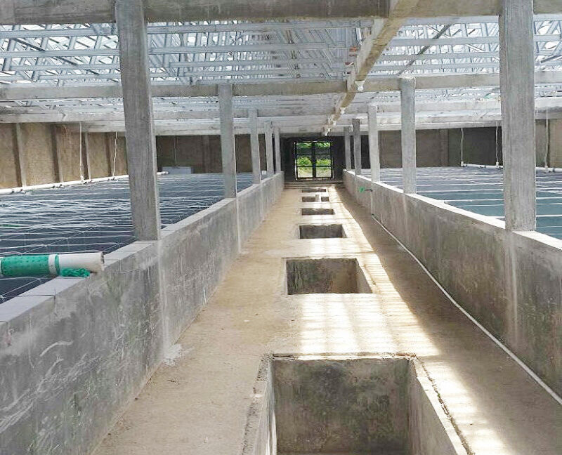 Tanah Dijual di Anyer Carita Pandeglang Banten Dekat Pantai Carita, Pantai Pasir Putih, Pantai Karangsari 0014