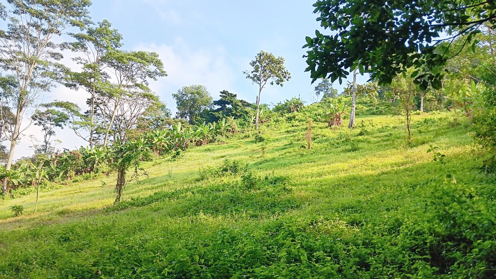 Jual BU Tanah di Campang Raya Bandar Lampung Dekat Pasar Beringin Bandar Lampung, Japfa Comfeed Indonesia, Lampung City Mall, RS Urip Sumoharjo 0001