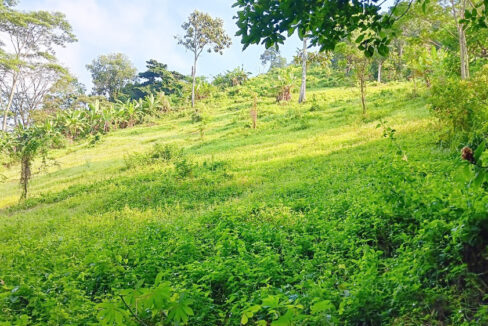 Jual BU Tanah di Campang Raya Bandar Lampung Dekat Pasar Beringin Bandar Lampung, Japfa Comfeed Indonesia, Lampung City Mall, RS Urip Sumoharjo 0002