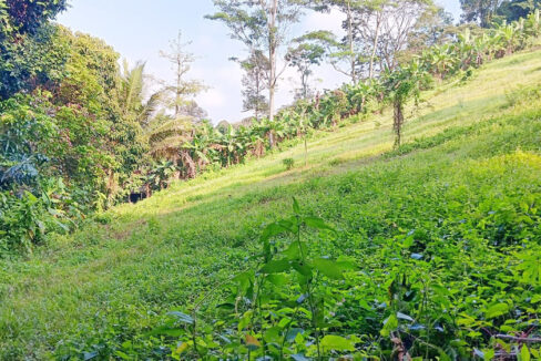 Jual BU Tanah di Campang Raya Bandar Lampung Dekat Pasar Beringin Bandar Lampung, Japfa Comfeed Indonesia, Lampung City Mall, RS Urip Sumoharjo 0003
