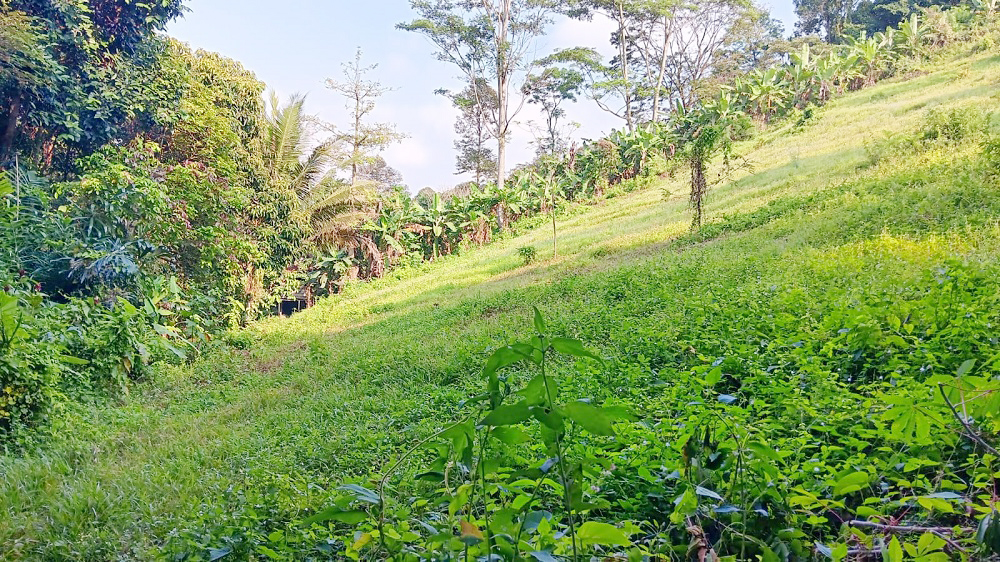 Jual BU Tanah di Campang Raya Bandar Lampung Dekat Pasar Beringin Bandar Lampung, Japfa Comfeed Indonesia, Lampung City Mall, RS Urip Sumoharjo 0003