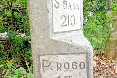 Jual Tanah Badegan Ponorogo Dekat Pasar Badegan Ponorogo, SMA Negeri 1 Badegan, Wisata Bukit Soeharto 0006