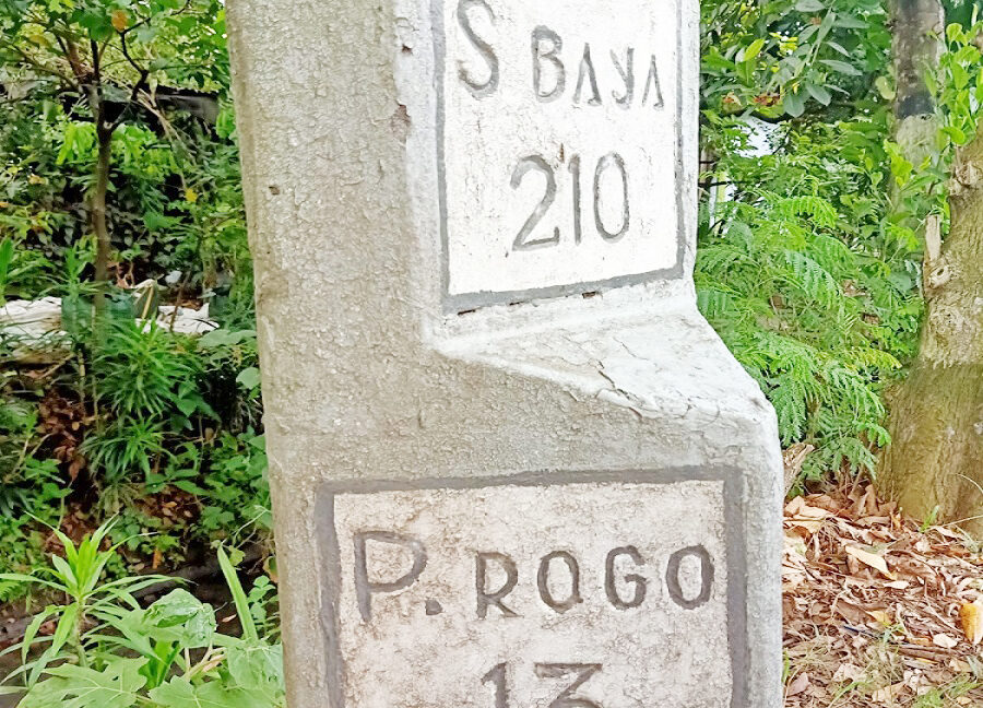 Jual Tanah Badegan Ponorogo Dekat Pasar Badegan Ponorogo, SMA Negeri 1 Badegan, Wisata Bukit Soeharto 0006