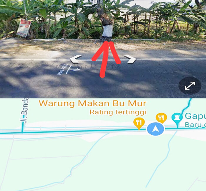 Jual Tanah Badegan Ponorogo Dekat Pasar Badegan Ponorogo, SMA Negeri 1 Badegan, Wisata Bukit Soeharto 0008