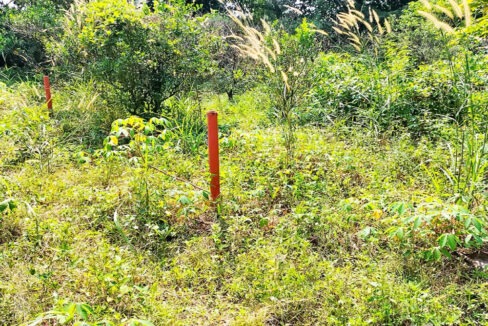 Jual Tanah Kavling di Bojongsari Kota Depok Dekat RS Citra Arafiq, RSUD Kota Depok, SMPN 10 Depok, Pasar Parung, Mall The Park Sawangan, Kantor BSSN 0007