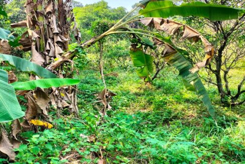 Jual Tanah Kavling di Bojongsari Kota Depok Dekat RS Citra Arafiq, RSUD Kota Depok, SMPN 10 Depok, Pasar Parung, Mall The Park Sawangan, Kantor BSSN 0009