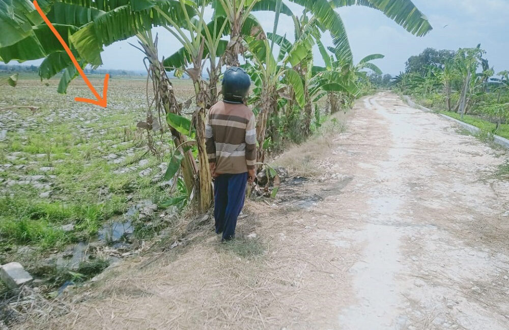 Jual Tanah di Bojonegoro Jawa Timur Dekat RSUD Dr.Sosodoro, Terminal Rajekwesi, Alun-Alun Bojonegoro, PEMDA Bojonegoro, UNIGORO, KDS Bojonegoro 0002