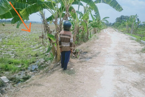 Jual Tanah di Bojonegoro Jawa Timur Dekat RSUD Dr.Sosodoro, Terminal Rajekwesi, Alun-Alun Bojonegoro, PEMDA Bojonegoro, UNIGORO, KDS Bojonegoro 0002