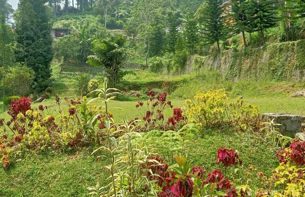 Jual Tanah di Cisarua Puncak Bogor Dekat Ujung Rimba Camp, Curug Cilember, Rumah Makan Bumi Aki, Kebun Teh Cisarua, Gunung Mas Bogor 0008