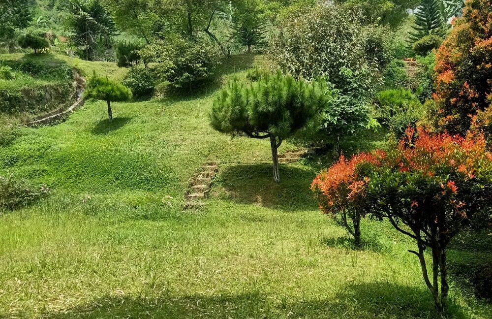 Jual Tanah di Cisarua Puncak Bogor Dekat Ujung Rimba Camp, Curug Cilember, Rumah Makan Bumi Aki, Kebun Teh Cisarua, Gunung Mas Bogor 0009