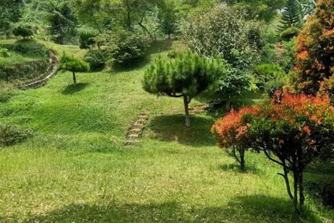 Jual Tanah di Cisarua Puncak Bogor Dekat Ujung Rimba Camp, Curug Cilember, Rumah Makan Bumi Aki, Kebun Teh Cisarua, Gunung Mas Bogor 0009
