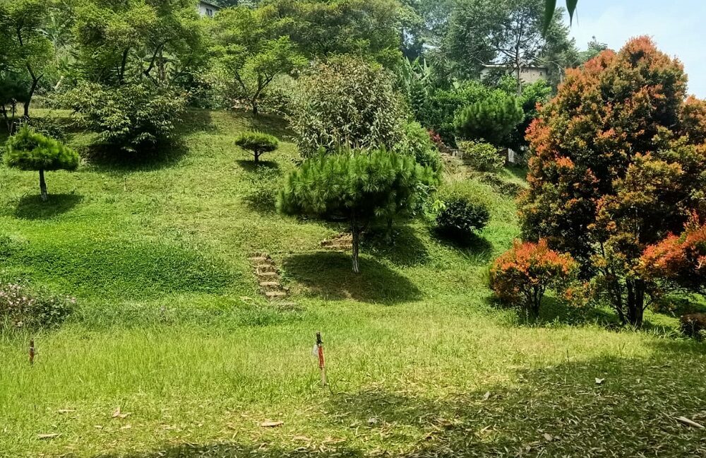 Jual Tanah di Cisarua Puncak Bogor Dekat Ujung Rimba Camp, Curug Cilember, Rumah Makan Bumi Aki, Kebun Teh Cisarua, Gunung Mas Bogor 0010