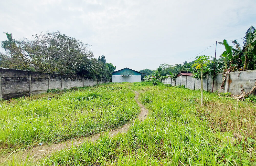 Jual Tanah di Hamparan Perak Deli Serdang Dekat PDAM Tirtanadi, Pasar Inpres Klumpang, RS Umum Keliat, Gerbang Tol Semayang, Gerbang Tol Helvetia 0009