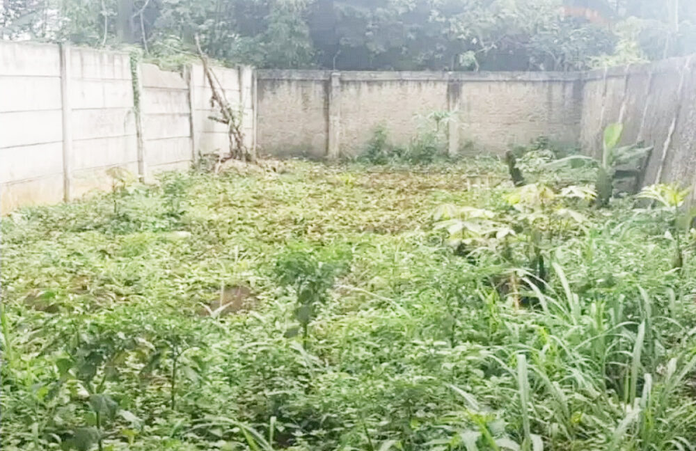 Jual Tanah di Harjamukti Depok Dekat Stasiun LRT Harjamukti, Trans Studio Mall Cibubur, Cibubur Junction, RS Meilia Cimanggis, Gerbang Tol Cimanggis 2 0001