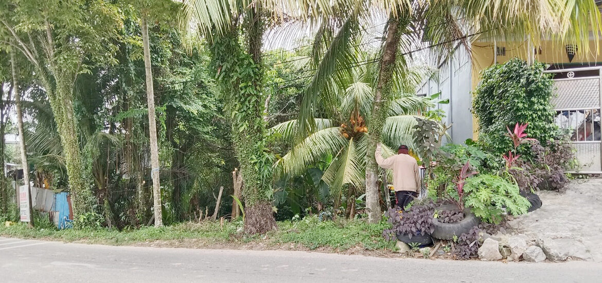 Jual Tanah di Kota Balikpapan Dekat BSB Balikpapan Superblok, Plaza Balikpapan, Mall Balikpapan Baru, RSUD Dr. Kanujoso Djatiwibowo, Bandara Sepinggan 0001