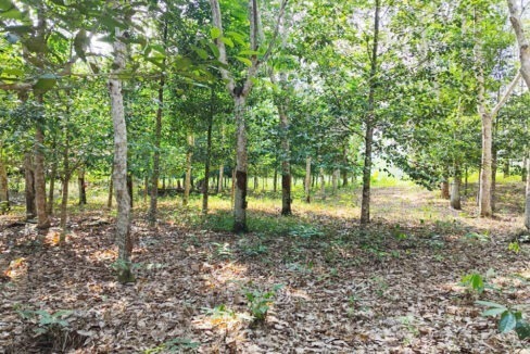 Jual Tanah di Lamaru Balikpapan Timur Kota Balikpapan Dekat SDN 014 Balikpapan Timur, Polsek Balikpapan Timur, Dekat RS Medika Utama Manggar 0002