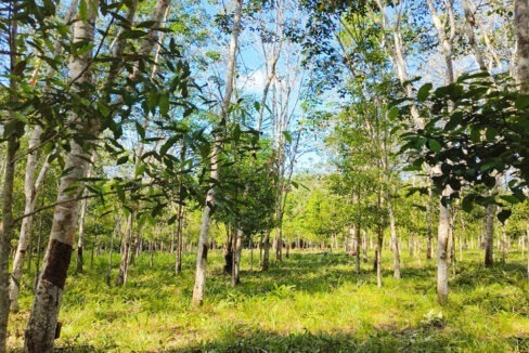 Jual Tanah di Lamaru Balikpapan Timur Kota Balikpapan Dekat SDN 014 Balikpapan Timur, Polsek Balikpapan Timur, Dekat RS Medika Utama Manggar 0003