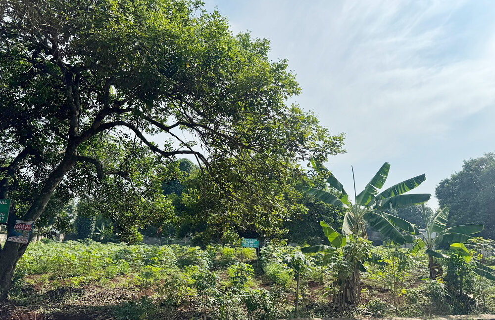 Jual Tanah di Setu Bekasi Dekat Pasar Setu, RS Kartika Husada, Gerbang Tol Burangkeng, Dekat Alun-Alun Edu Forest, SMA Negeri 1 Setu Bekasi 0001