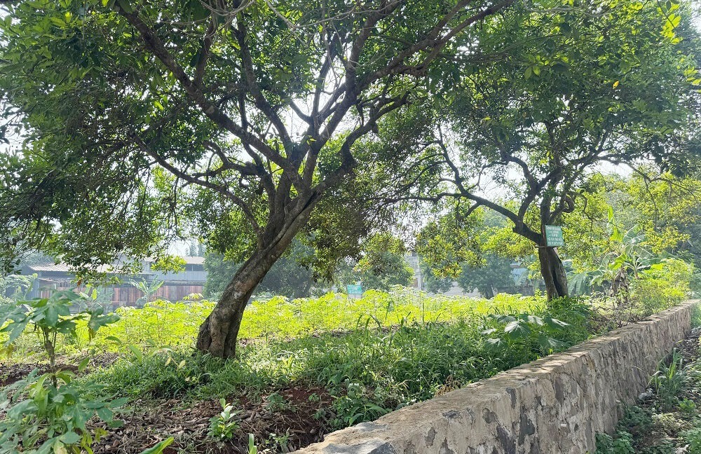 Jual Tanah di Setu Bekasi Dekat Pasar Setu, RS Kartika Husada, Gerbang Tol Burangkeng, Dekat Alun-Alun Edu Forest, SMA Negeri 1 Setu Bekasi 0002