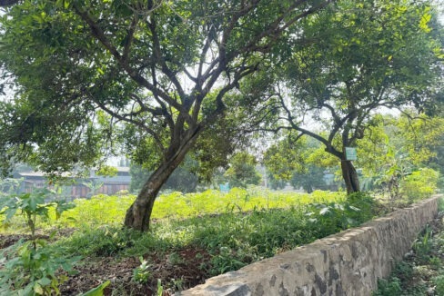 Jual Tanah di Setu Bekasi Dekat Pasar Setu, RS Kartika Husada, Gerbang Tol Burangkeng, Dekat Alun-Alun Edu Forest, SMA Negeri 1 Setu Bekasi 0002