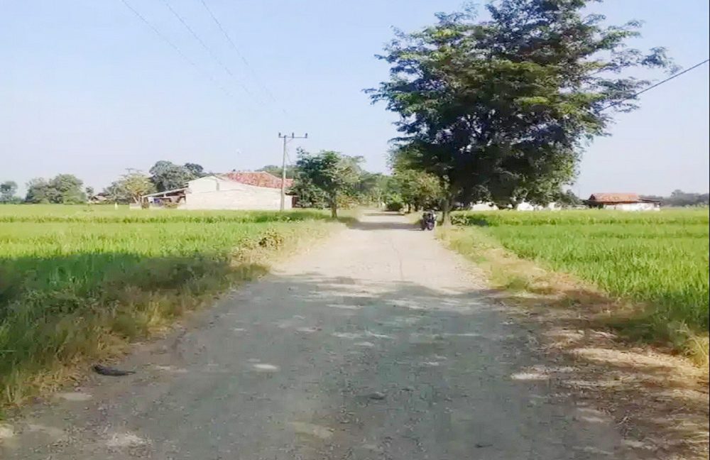 Dijual Tanah di Cibogo Subang Dekat Tol Cipali, Gapura Perbatasan Subang-Indramayu, Politeknik Negeri Subang 0003
