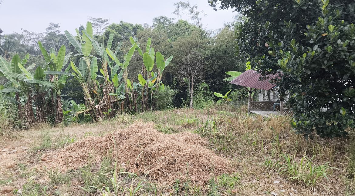 Jual Tanah di Kota Sukabumi Dekat Superindo R.A Kosasih, Citimall Sukabumi, Alun-Alun Kota Sukabumi, SMA Negeri 3 Sukabumi, RS Hermina Sukabumi 0002