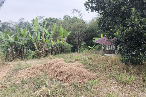 Jual Tanah di Kota Sukabumi Dekat Superindo R.A Kosasih, Citimall Sukabumi, Alun-Alun Kota Sukabumi, SMA Negeri 3 Sukabumi, RS Hermina Sukabumi 0002