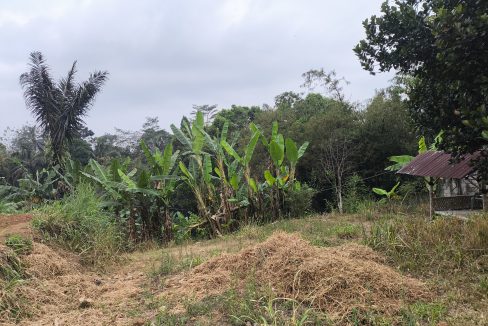 Jual Tanah di Kota Sukabumi Dekat Superindo R.A Kosasih, Citimall Sukabumi, Alun-Alun Kota Sukabumi, SMA Negeri 3 Sukabumi, RS Hermina Sukabumi 0003