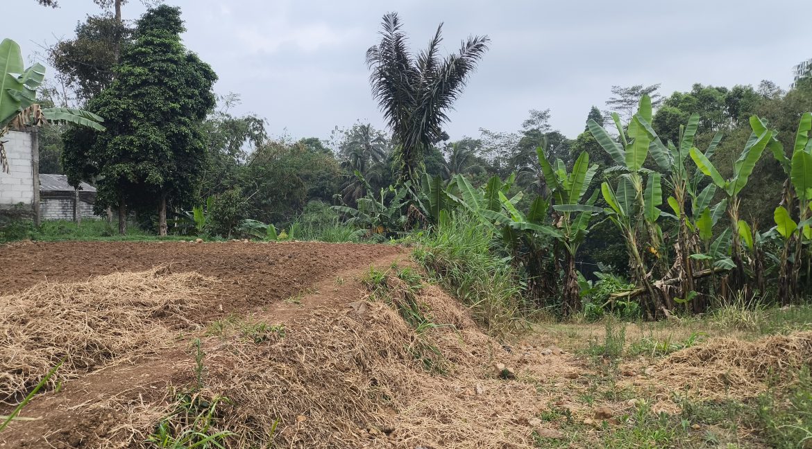 Jual Tanah di Kota Sukabumi Dekat Superindo R.A Kosasih, Citimall Sukabumi, Alun-Alun Kota Sukabumi, SMA Negeri 3 Sukabumi, RS Hermina Sukabumi 0004