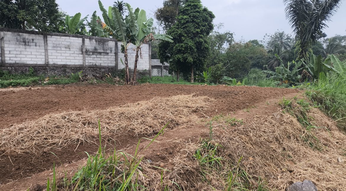 Jual Tanah di Kota Sukabumi Dekat Superindo R.A Kosasih, Citimall Sukabumi, Alun-Alun Kota Sukabumi, SMA Negeri 3 Sukabumi, RS Hermina Sukabumi 0005