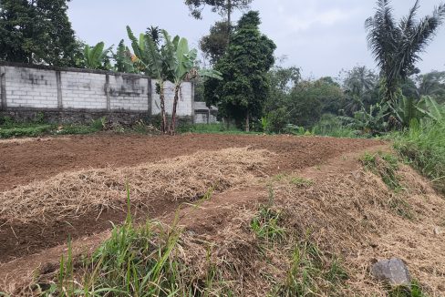 Jual Tanah di Kota Sukabumi Dekat Superindo R.A Kosasih, Citimall Sukabumi, Alun-Alun Kota Sukabumi, SMA Negeri 3 Sukabumi, RS Hermina Sukabumi 0005