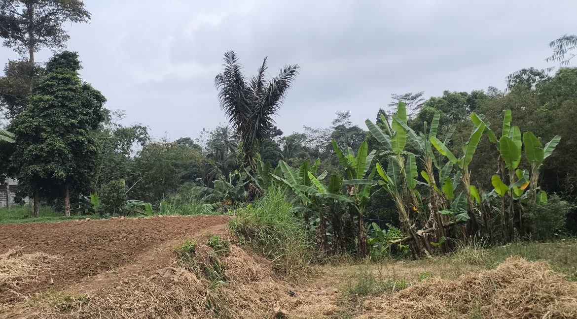 Jual Tanah di Kota Sukabumi Dekat Superindo R.A Kosasih, Citimall Sukabumi, Alun-Alun Kota Sukabumi, SMA Negeri 3 Sukabumi, RS Hermina Sukabumi 0006