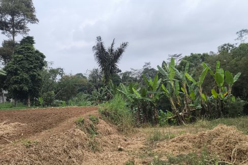 Jual Tanah di Kota Sukabumi Dekat Superindo R.A Kosasih, Citimall Sukabumi, Alun-Alun Kota Sukabumi, SMA Negeri 3 Sukabumi, RS Hermina Sukabumi 0006