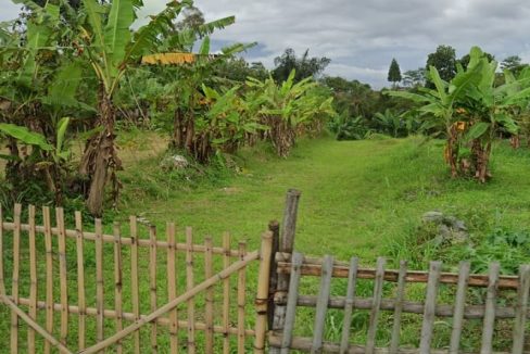 Jual Tanah di Kota Sukabumi Dekat Superindo R.A Kosasih, Citimall Sukabumi, Alun-Alun Kota Sukabumi, SMA Negeri 3 Sukabumi, RS Hermina Sukabumi 0009