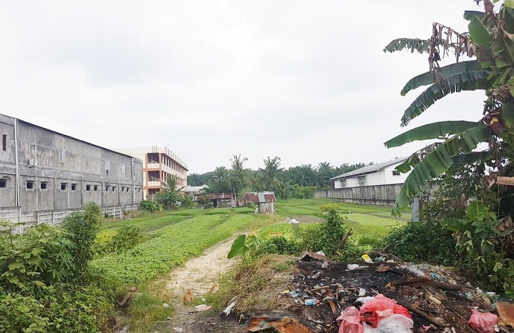 Jual Tanah di Pekanbaru Riau Dekat RS Sansani Pekanbaru, Indogrosir Pekanbaru, Pasar Pagi Arengka, Mall SKA Pekanbaru, Bandara Sultan Syarif Kasim II 0001