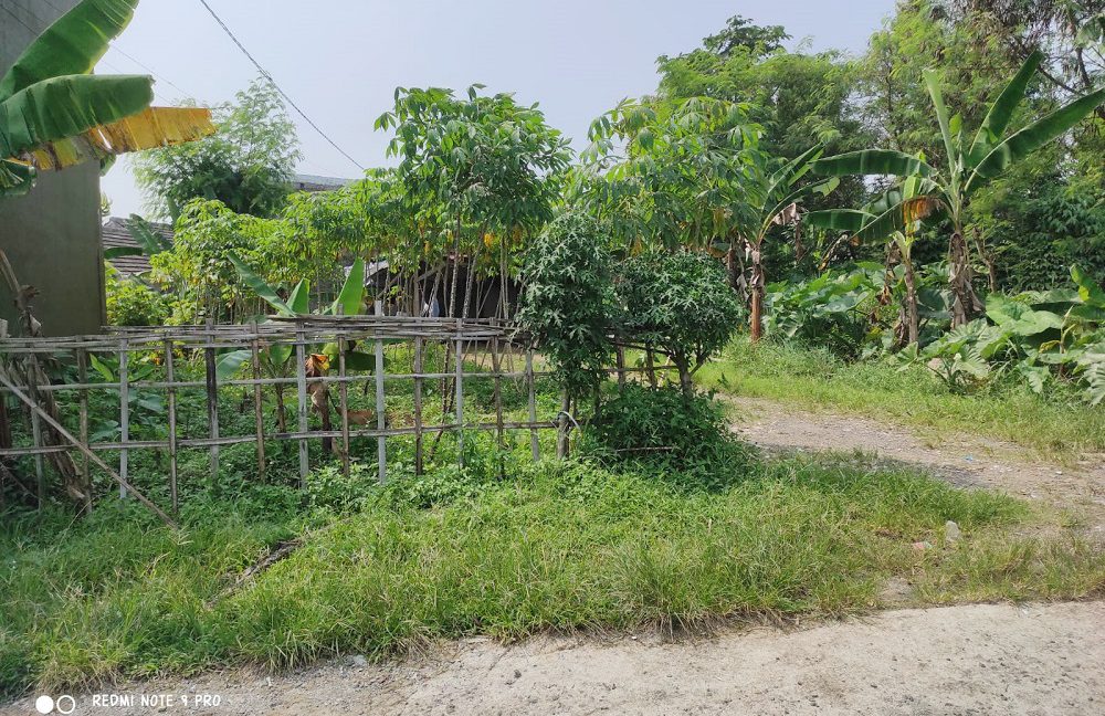 Jual Tanah di Tamansari Bogor Dekat Pasar Tamansari Bogor, SMA Negeri 1 Tamansari, The Highland Park Resort Hotel, The Jungle Waterpark Bogor 0001