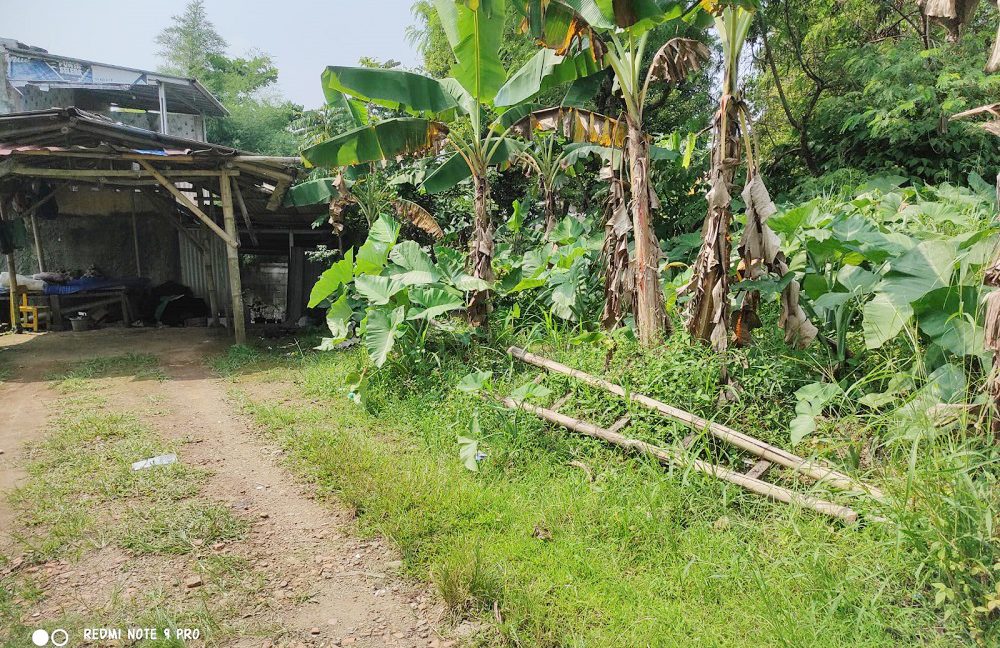 Jual Tanah di Tamansari Bogor Dekat Pasar Tamansari Bogor, SMA Negeri 1 Tamansari, The Highland Park Resort Hotel, The Jungle Waterpark Bogor 0003