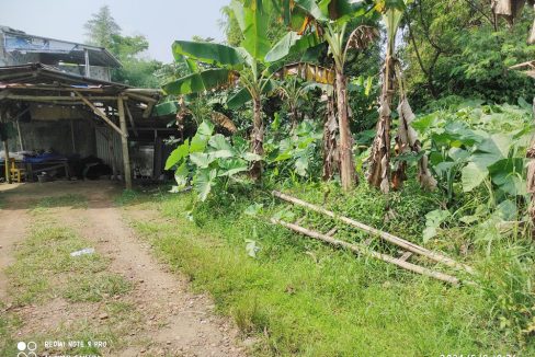 Jual Tanah di Tamansari Bogor Dekat Pasar Tamansari Bogor, SMA Negeri 1 Tamansari, The Highland Park Resort Hotel, The Jungle Waterpark Bogor 0003