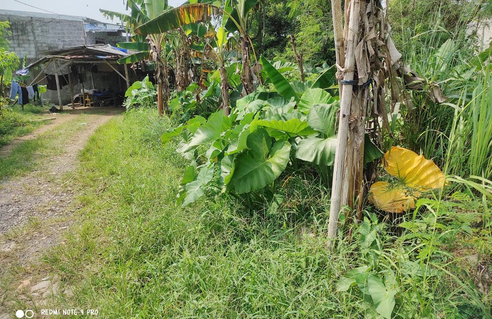 Jual Tanah di Tamansari Bogor Dekat Pasar Tamansari Bogor, SMA Negeri 1 Tamansari, The Highland Park Resort Hotel, The Jungle Waterpark Bogor 0004