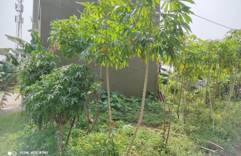 Jual Tanah di Tamansari Bogor Dekat Pasar Tamansari Bogor, SMA Negeri 1 Tamansari, The Highland Park Resort Hotel, The Jungle Waterpark Bogor 0005