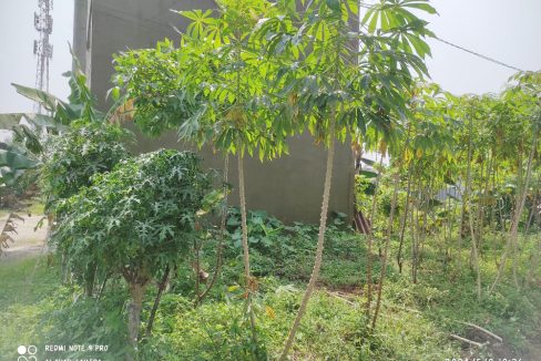 Jual Tanah di Tamansari Bogor Dekat Pasar Tamansari Bogor, SMA Negeri 1 Tamansari, The Highland Park Resort Hotel, The Jungle Waterpark Bogor 0005