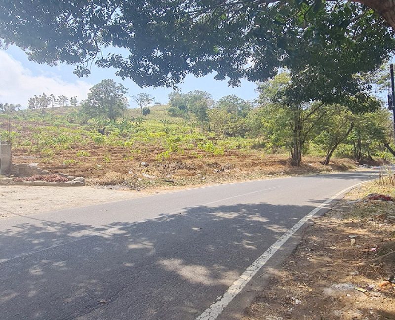 Jual Tanah 2.515 m2 di Banyuresmi Garut Dekat Wisata Situ Bagendit, Pasar Baraya Desa Banyuresmi, SMP Negeri 1 Banyuresmi, SMA Negeri 25 Garut 0003
