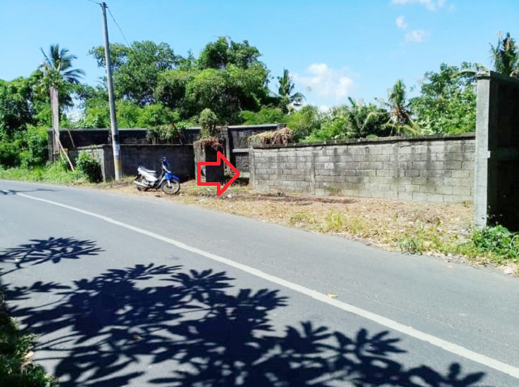 Jual Tanah di Gianyar Bali Dekat RS Kasih Ibu Saba, Pantai Saba, Pantai Keramas, Ubud Bali, The Amazing Taman Safari Bali, Bali Zoo, Bali Bird Park 0001