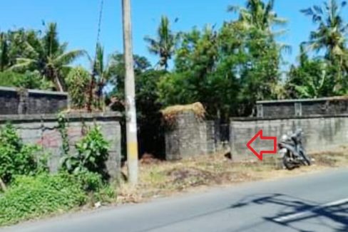Jual Tanah di Gianyar Bali Dekat RS Kasih Ibu Saba, Pantai Saba, Pantai Keramas, Ubud Bali, The Amazing Taman Safari Bali, Bali Zoo, Bali Bird Park 0001b