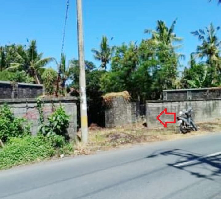 Jual Tanah di Gianyar Bali Dekat RS Kasih Ibu Saba, Pantai Saba, Pantai Keramas, Ubud Bali, The Amazing Taman Safari Bali, Bali Zoo, Bali Bird Park 0001b