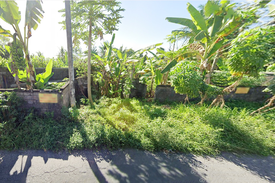Jual Tanah di Gianyar Bali Dekat RS Kasih Ibu Saba, Pantai Saba, Pantai Keramas, Ubud Bali, The Amazing Taman Safari Bali, Bali Zoo, Bali Bird Park 0001b