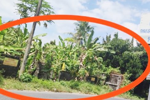 Jual Tanah di Gianyar Bali Dekat RS Kasih Ibu Saba, Pantai Saba, Pantai Keramas, Ubud Bali, The Amazing Taman Safari Bali, Bali Zoo, Bali Bird Park 0001c