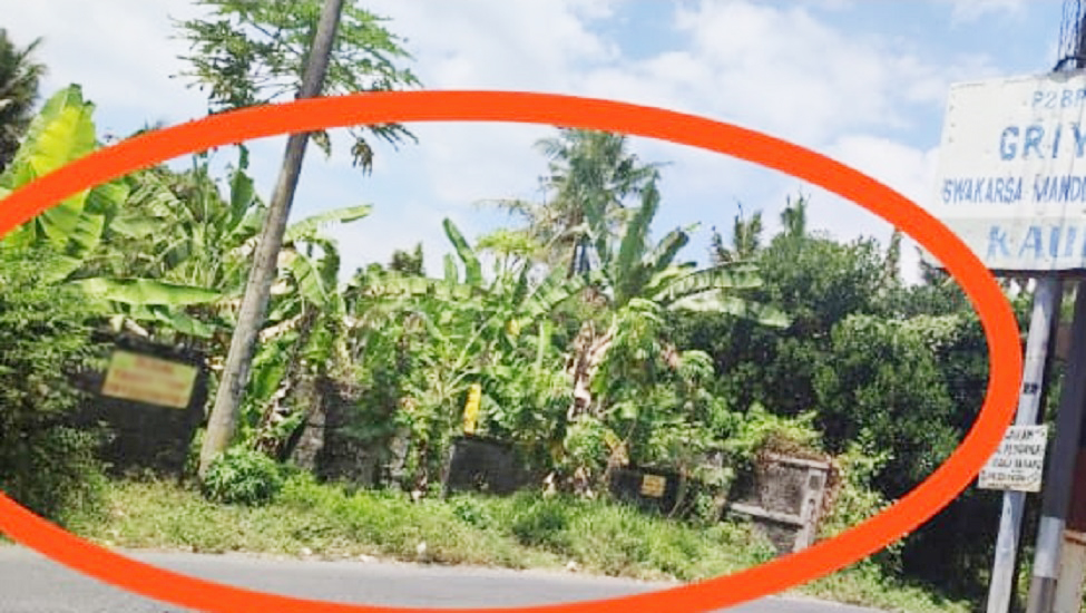 Jual Tanah di Gianyar Bali Dekat RS Kasih Ibu Saba, Pantai Saba, Pantai Keramas, Ubud Bali, The Amazing Taman Safari Bali, Bali Zoo, Bali Bird Park 0001c